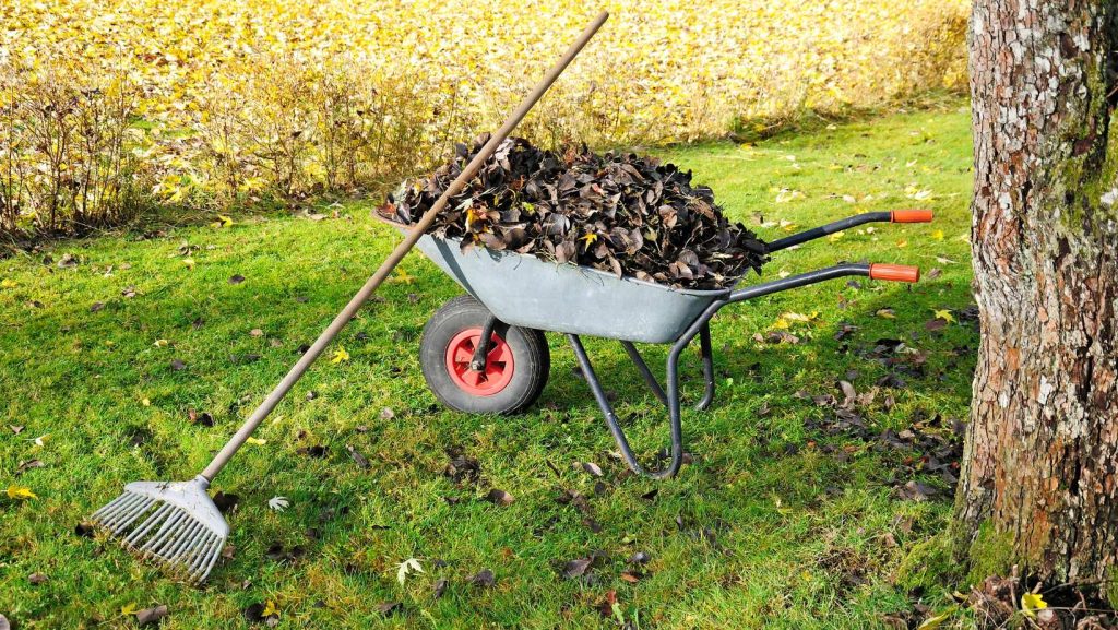 tuin onderhouden 4 seizoenen